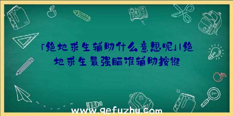 「绝地求生辅助什么意思呢」|绝地求生最强瞄准辅助按键